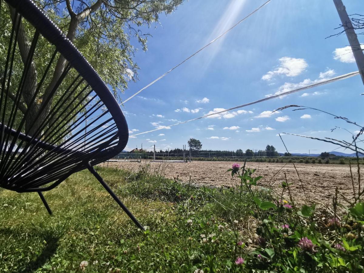 Podkowa Modliszów Vila Exterior foto